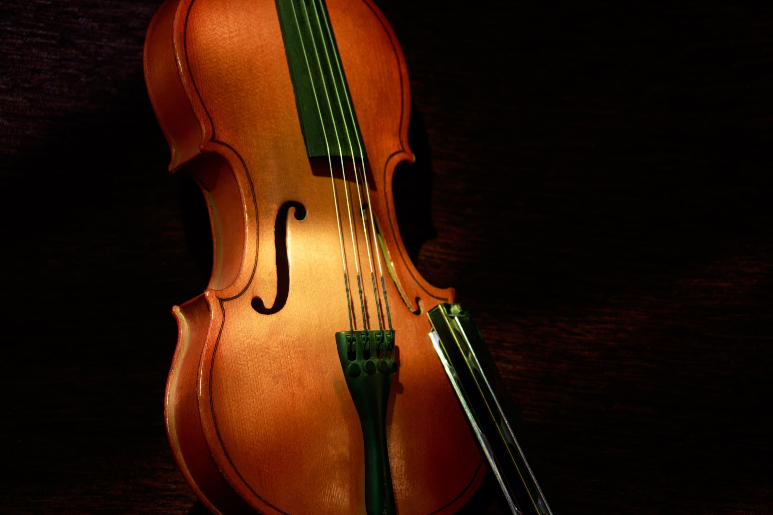 Violino