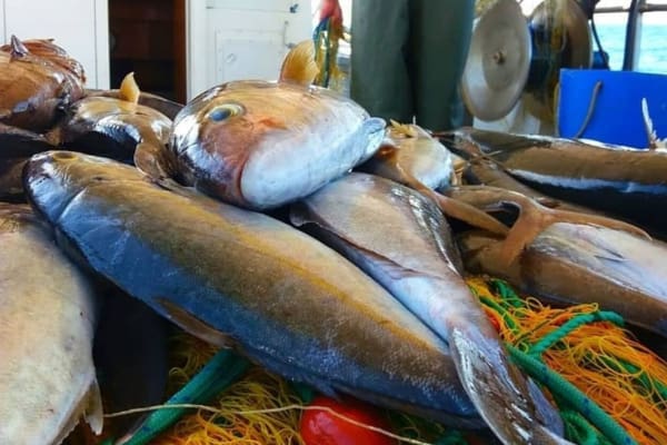 giornata con pescatore