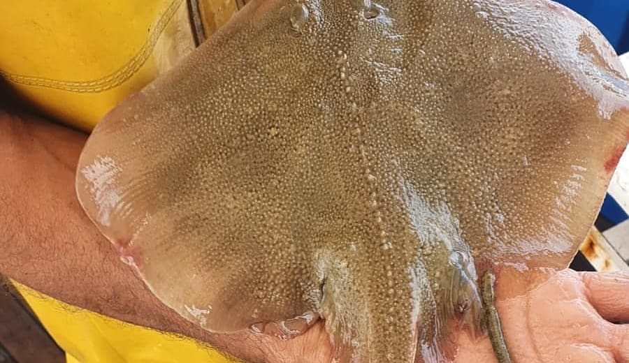 pescatore un giorno