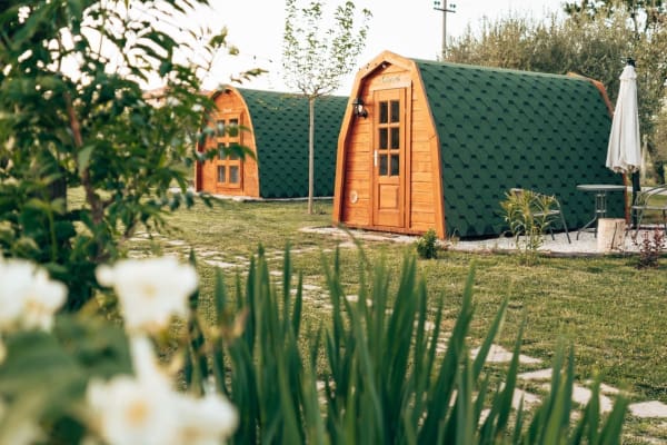 tenuta morganti abruzzo