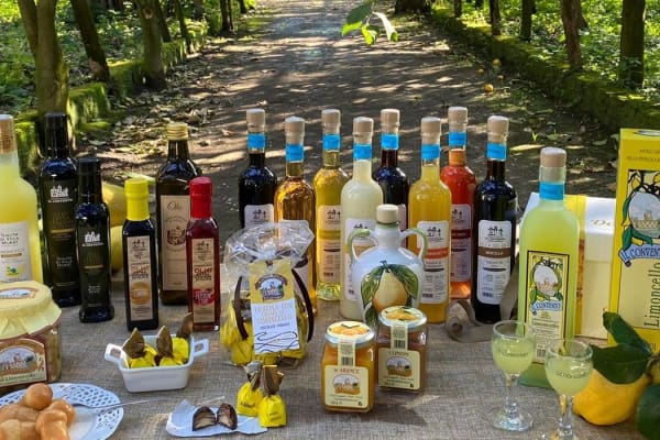 degustazione limone sorrento