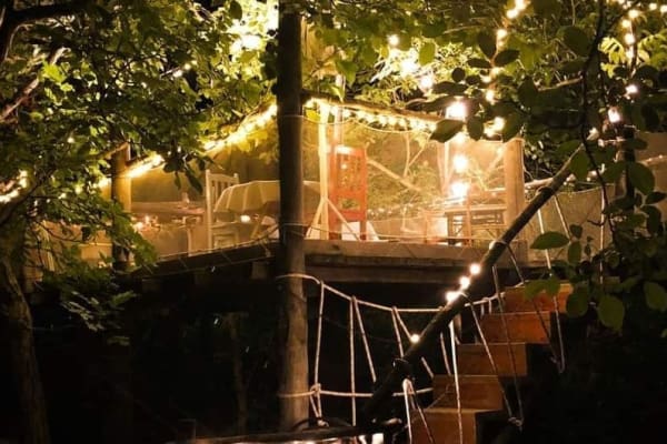 cena su un albero perugia