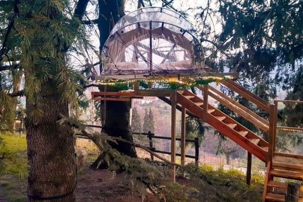 insolito weekend bubble tra gli alberi bergamo