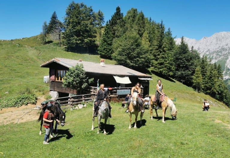 passeggiata cavallo fattoria felicità