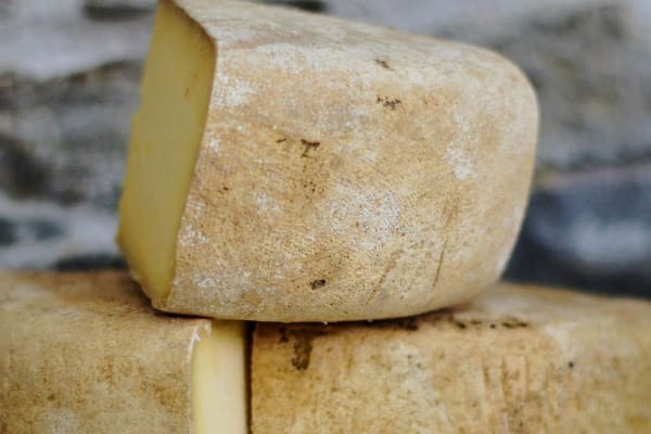 cheese making class fattoria della felicità bergamo